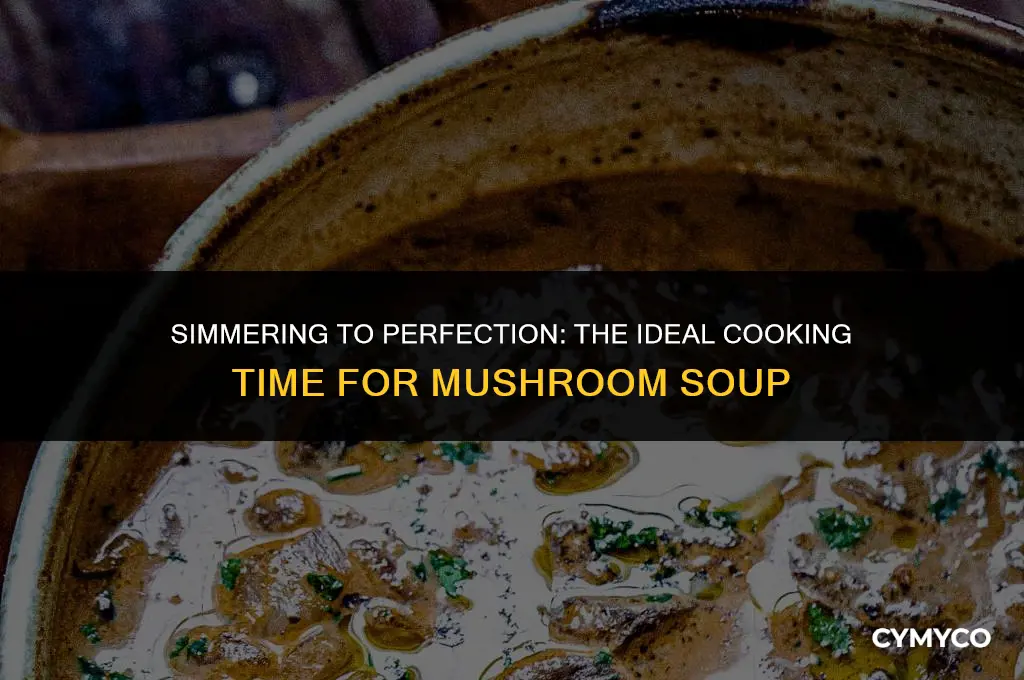how long do you let mushroom soup cook for