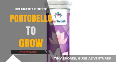 From Tiny Spore to Plump Portobello: A Mushroom's Growth Journey