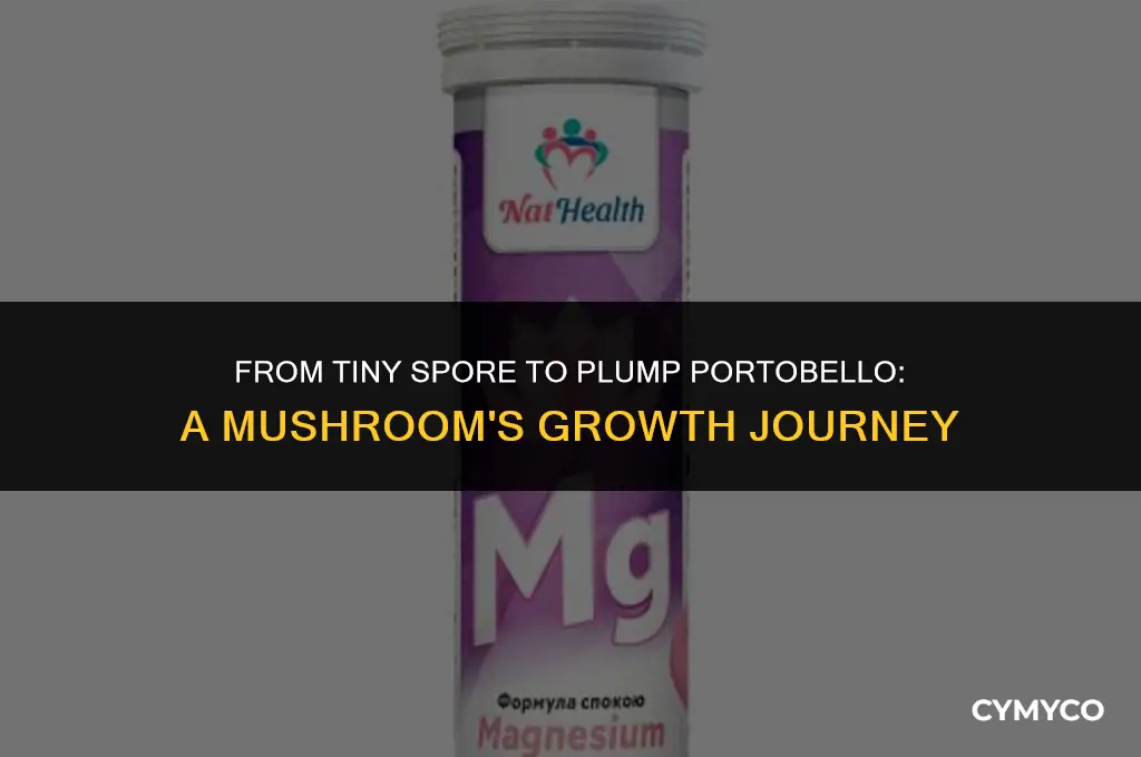 how long does it take for portobello to grow
