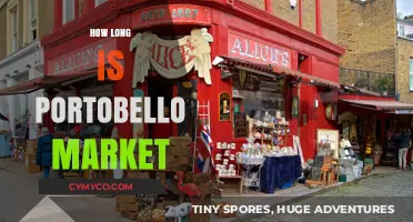 Exploring Portobello Market: A Comprehensive Guide to Its Length and Layout