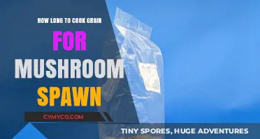 Perfect Grain Preparation: Optimal Cooking Time for Mushroom Spawn Success