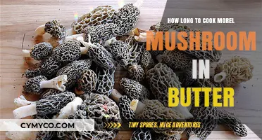 Perfectly Cooked Morel Mushrooms in Butter: Timing and Tips
