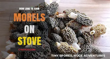 Savoring Spring: The Perfect Stovetop Morel Mushroom Recipe