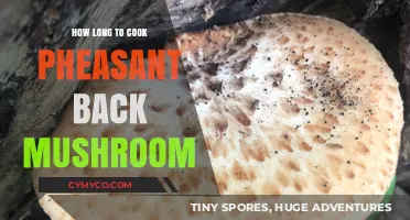 Savoring Earthy Delights: Perfectly Cooking Pheasant Back Mushrooms