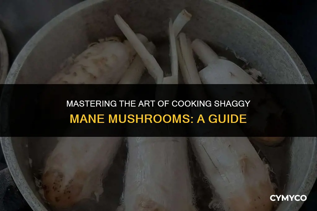 how long to cook shaggy mane mushrooms