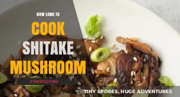 Savor the Flavor: Mastering the Art of Cooking Shiitake Mushrooms