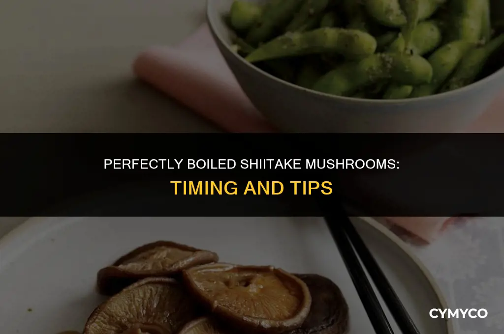 how long to cook shitake mushrooms for bvoil