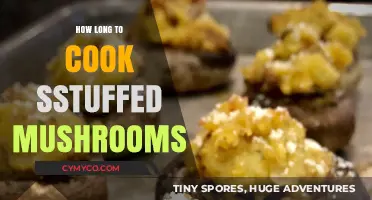 Delicious Stuffed Mushrooms: Perfect Cooking Time for a Tasty Treat