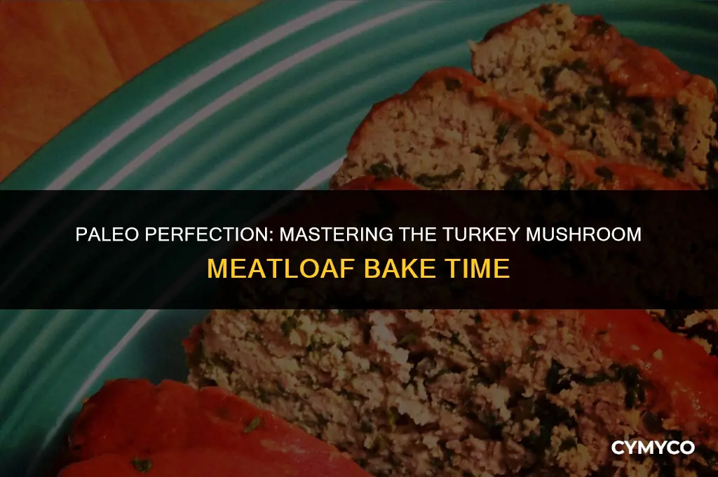 how long to cook turkey mushroom meatloaf paleo