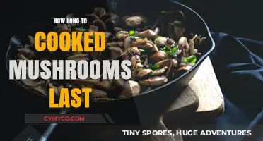 Savoring Sustainability: The Shelf Life of Cooked Mushrooms Explained