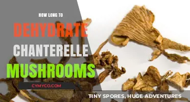 Dehydrating Chanterelle Mushrooms: A Comprehensive Guide