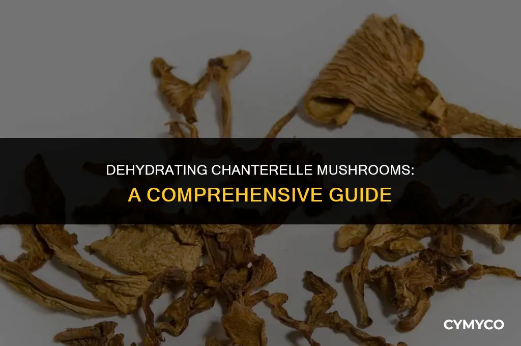 how long to dehydrate chanterelle mushrooms
