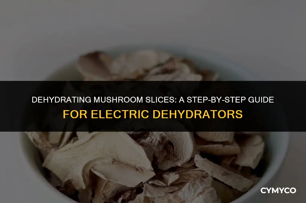 how long to dehydrate mushroom slices in electric dehydrator