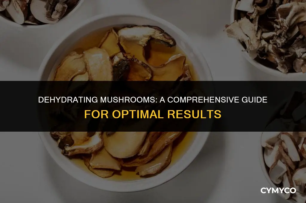 how long to dehydrate mushrooms shroomery