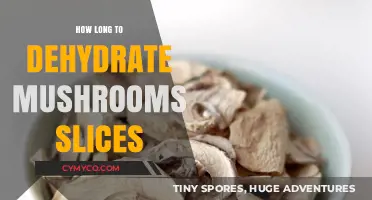 Dehydrating Mushroom Slices: A Comprehensive Guide to Optimal Drying Times
