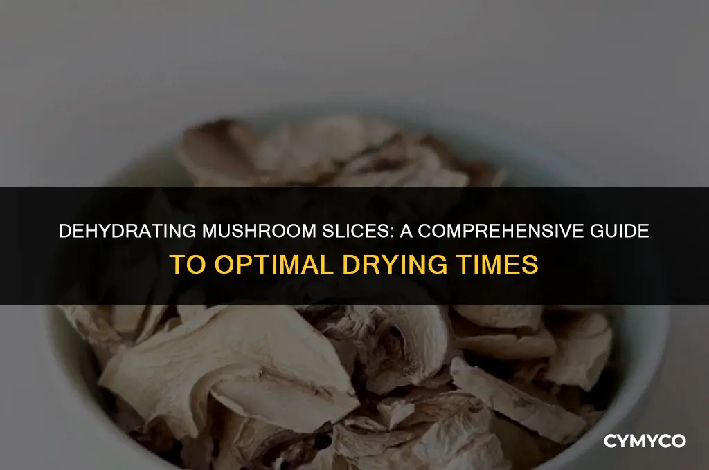 how long to dehydrate mushrooms slices