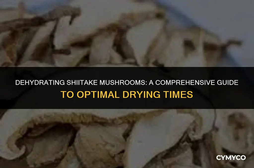how long to dehydrate shiitake mushrooms