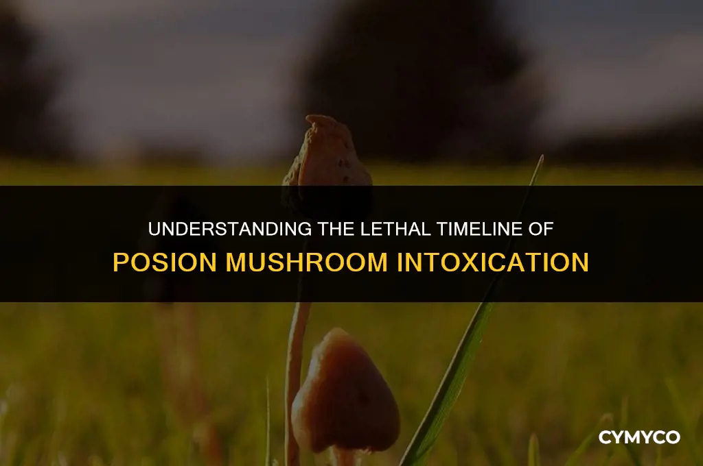 how long to die off posision mushroom