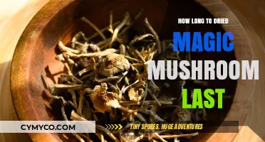 Exploring the Shelf Life of Dried Magic Mushrooms: A Comprehensive Guide