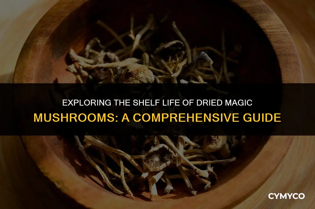 how long to dried magic mushrooms last