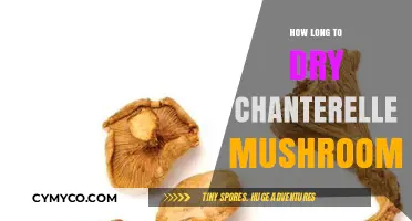 Drying Chanterelle Mushrooms: A Guide to Perfect Preservation