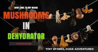 Dehydrating Magic Mushrooms: Optimal Time for Perfect Results