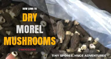 Drying Morel Mushrooms: A Comprehensive Guide for Optimal Results
