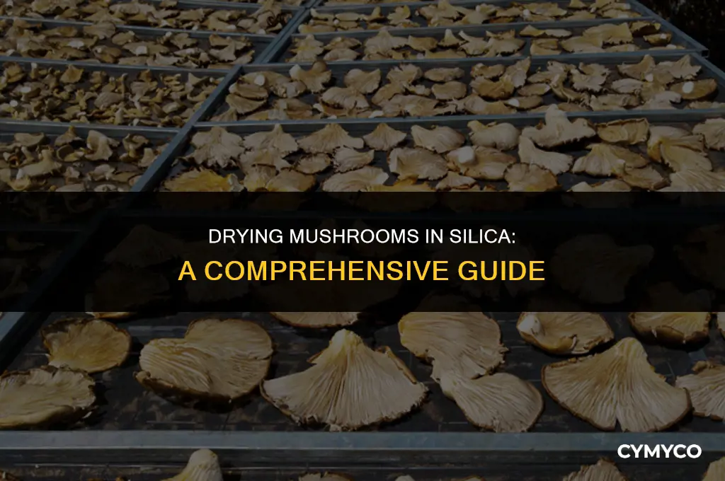 how long to dry mushrooms in silica