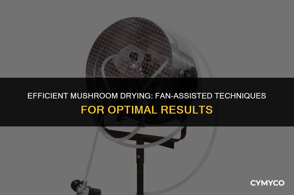 how long to dry mushrooms with fan