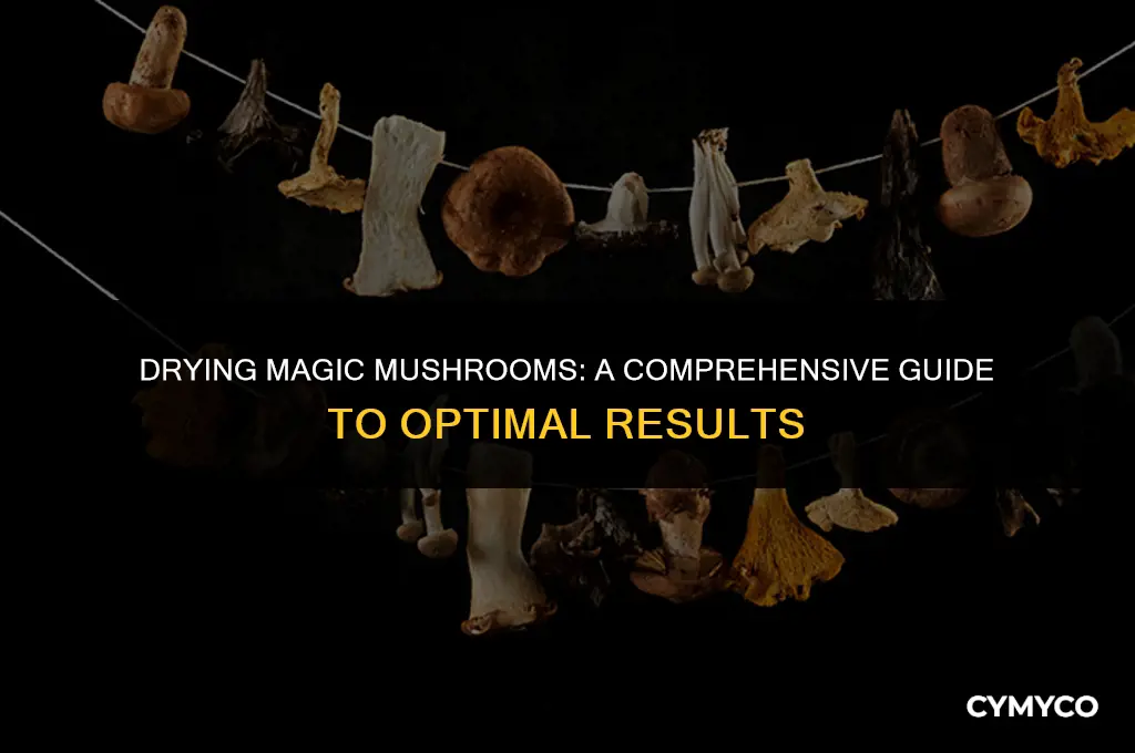 how long to dry out magic mushrooms