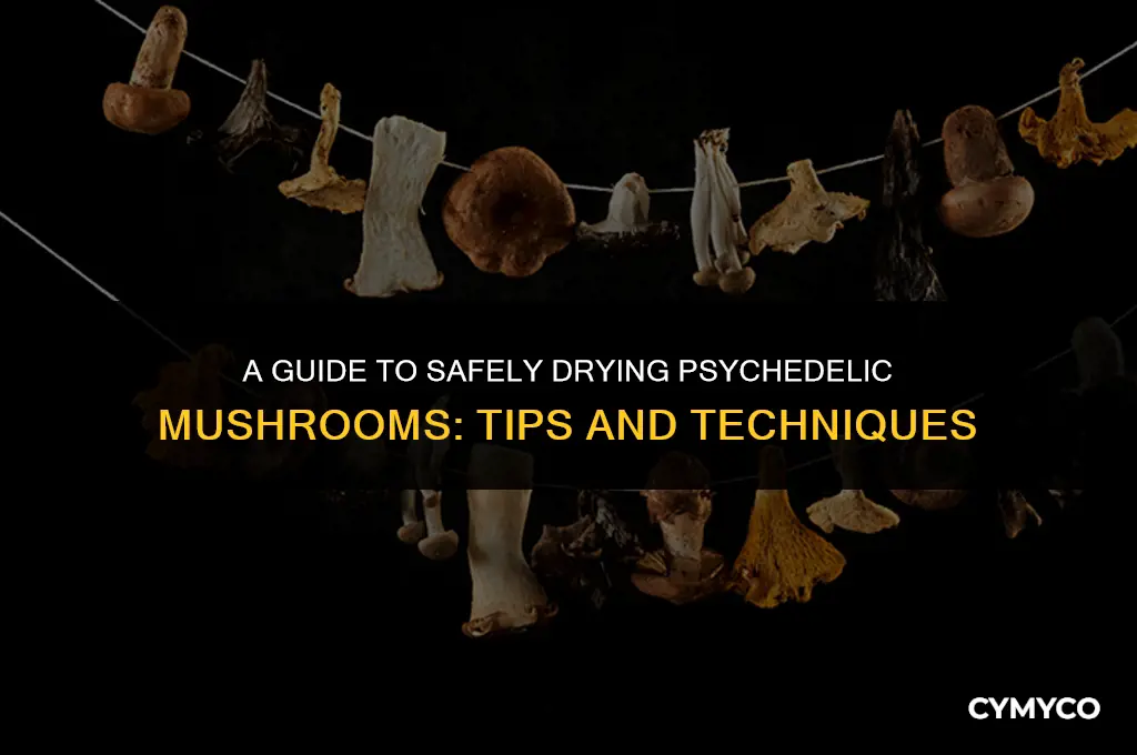 how long to dry psychedelic mushrooms