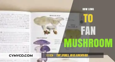 Mastering Mushroom Fanning: A Guide to Optimal Drying Times