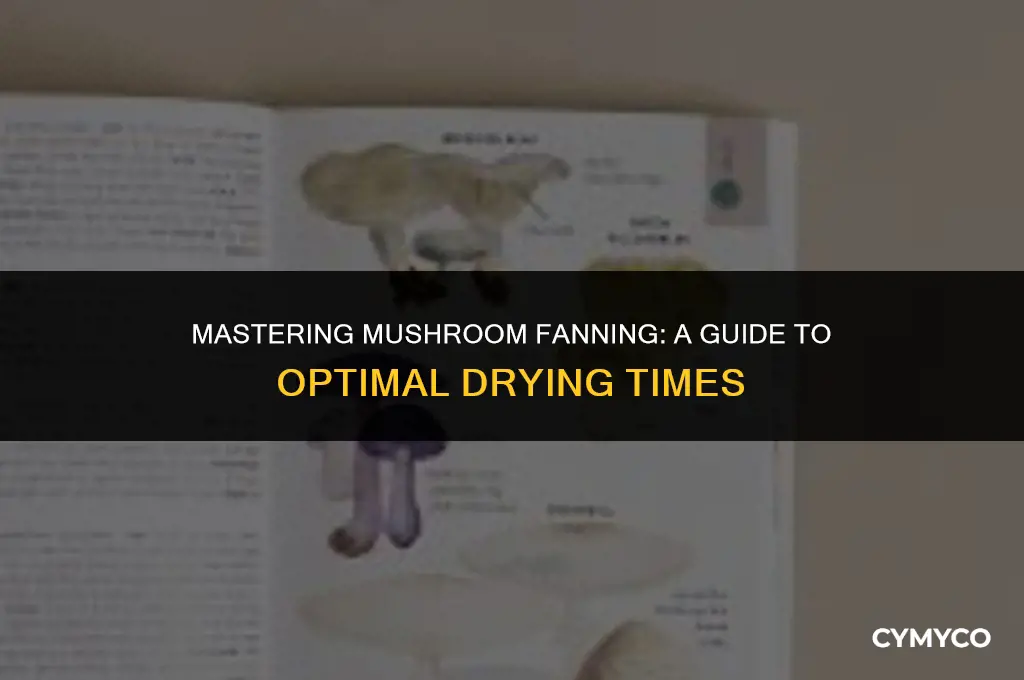how long to fan mushrooms
