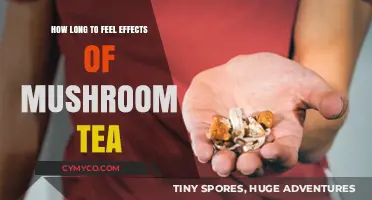 Exploring the Timeline: When Does Mushroom Tea Take Effect?