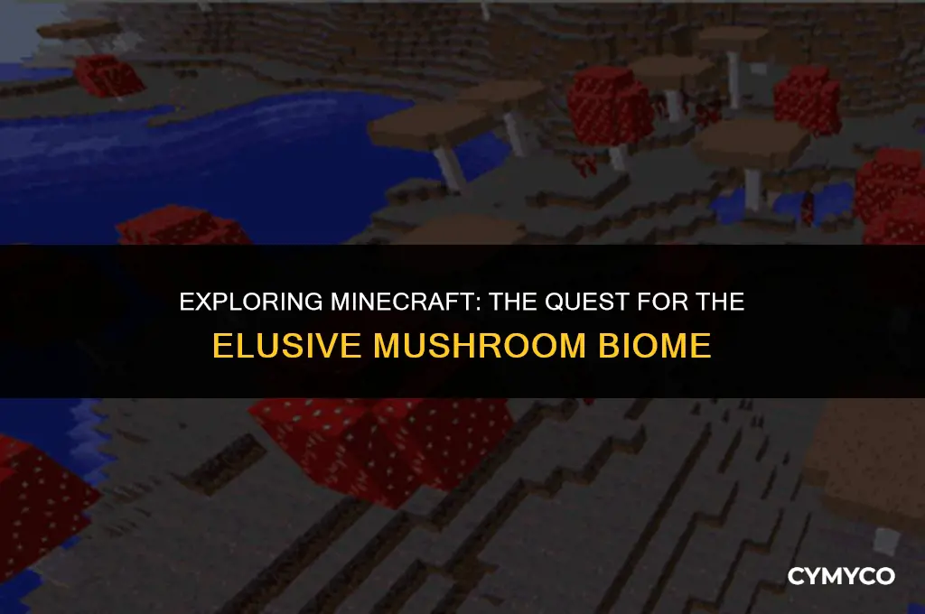 how long to find mushroom biome