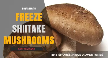 Preserving Flavor: The Optimal Freeze Time for Shiitake Mushrooms