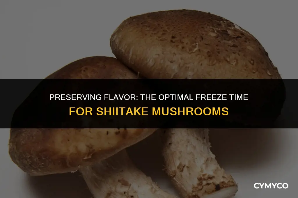 how long to freeze shiitake mushrooms