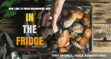 Maximizing Freshness: A Guide to Storing Mushrooms in the Fridge