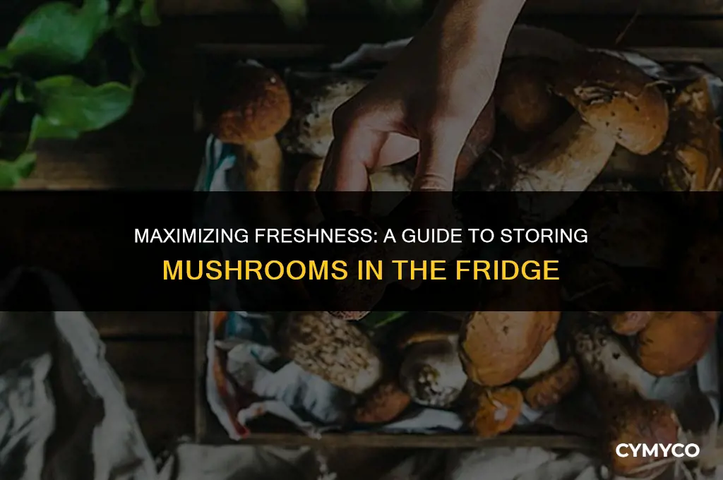 how long to fresh mushrooms keep in the fridge