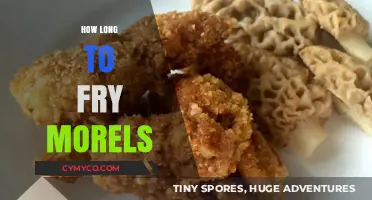 Savoring Spring: The Perfect Timing for Frying Morel Mushrooms