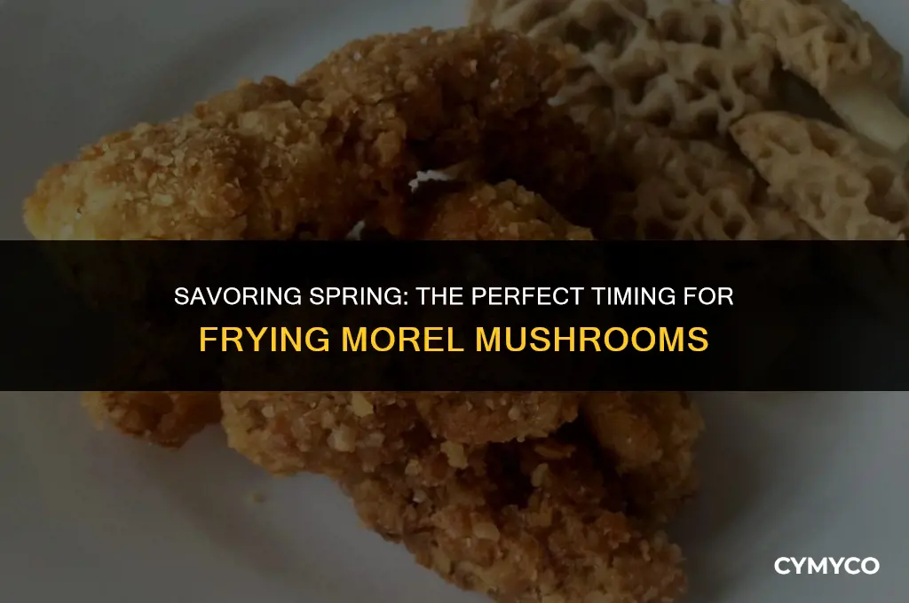 how long to fry morels