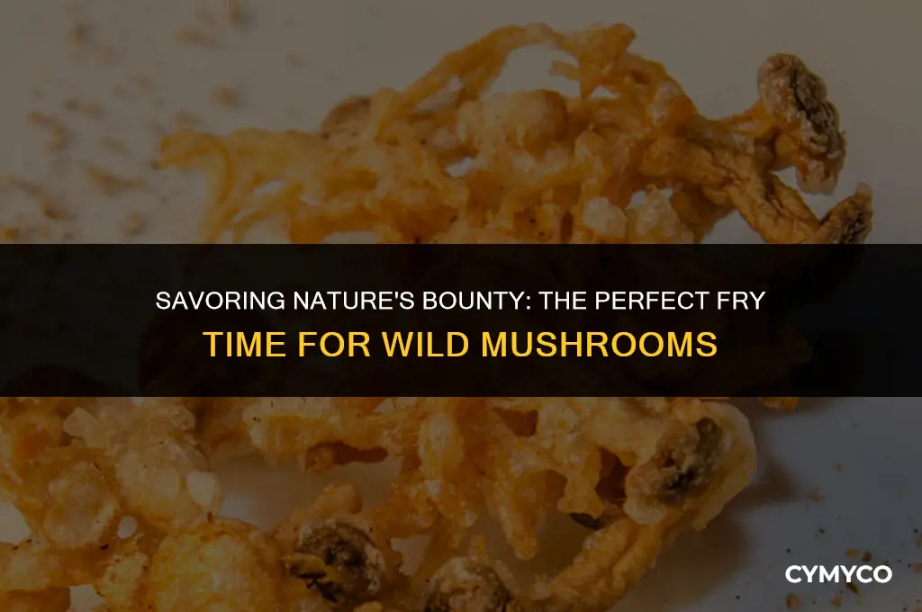 how long to fry wild mushrooms