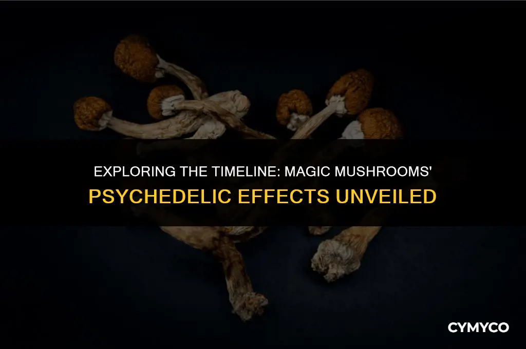 how long to get high on magic mushrooms