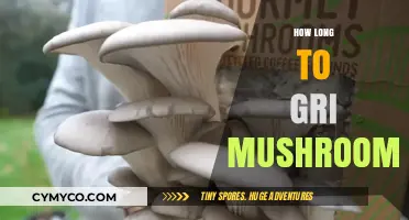 From Farm to Table: The Optimal Time for Harvesting Mushrooms