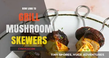 Savor the Flavor: Grilling Mushroom Skewers to Perfection