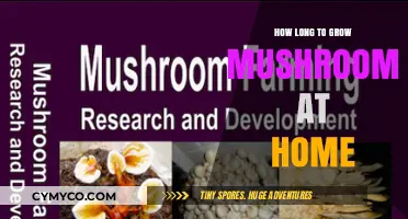 From Spores to Harvest: A Beginner's Guide to Growing Mushrooms at Home