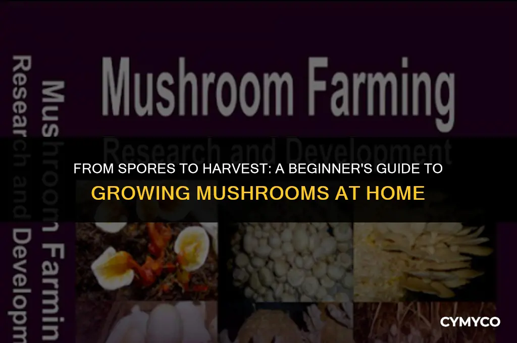 how long to grow mushrooms at home
