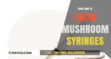 From Spores to Harvest: The Mushroom Syringe Growth Timeline