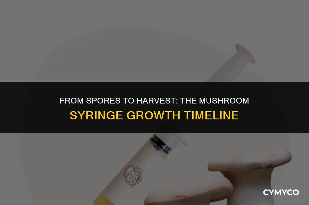 how long to grow mushrooms syringes