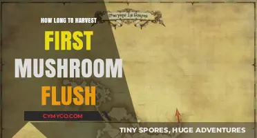 From Spawn to Harvest: The Mushroom Grower's First Flush Timeline